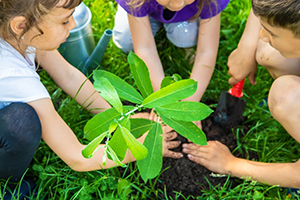 Child Planting Tree